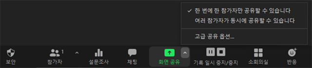 화면 공유 - 고급공유 옵션